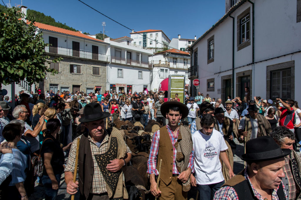 Chocalhos – Festival dos Caminhos da Transumância