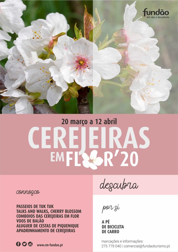 cerejeiras em flor_cartaz geral_2020